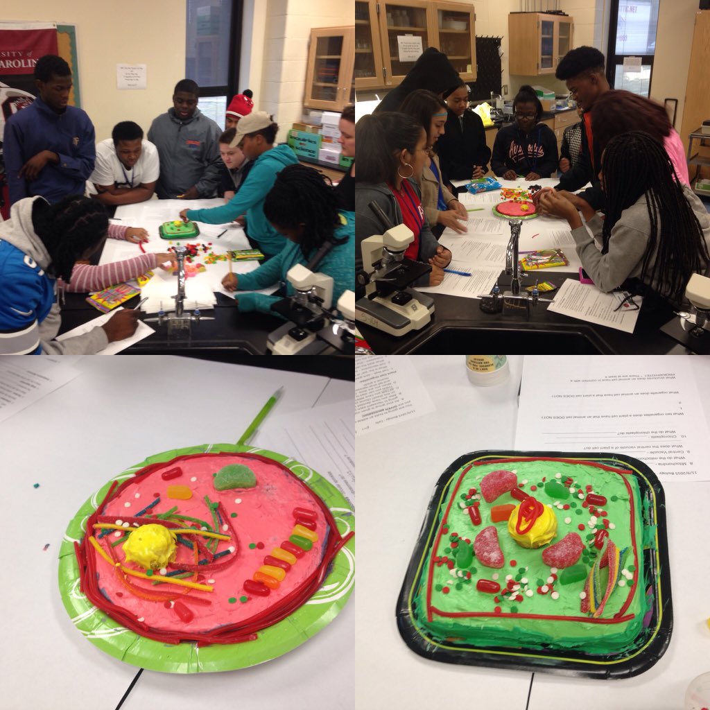 MsPhelps_'s tweet photo. Creating edible plant and animal cells in class! #sciencecanbefun #engagingstudents @Sabrina_suber @RNECavaliers https://t.co/y3c60TiJwO