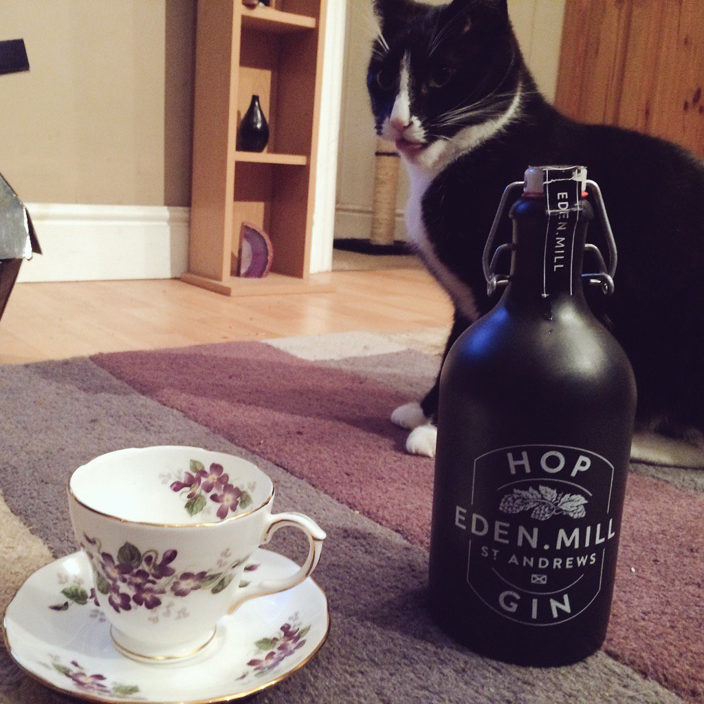 MashtunandMeow's tweet photo. Just opened our @EdenMill Hop Gin - so zingy and complex! Even #gincat is licking his lips... https://t.co/8cyhoVAOW4