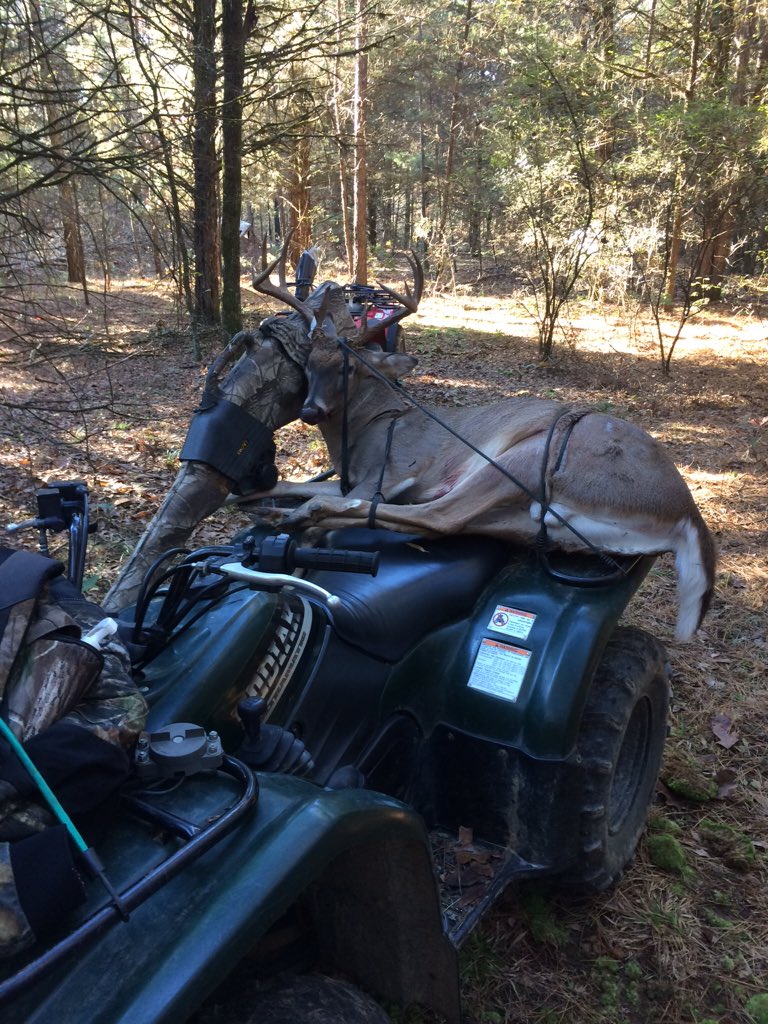 NathanBurgener's tweet photo. He just drove himself to the taxidermist. See you in a few months https://t.co/LoYqDj5lTB