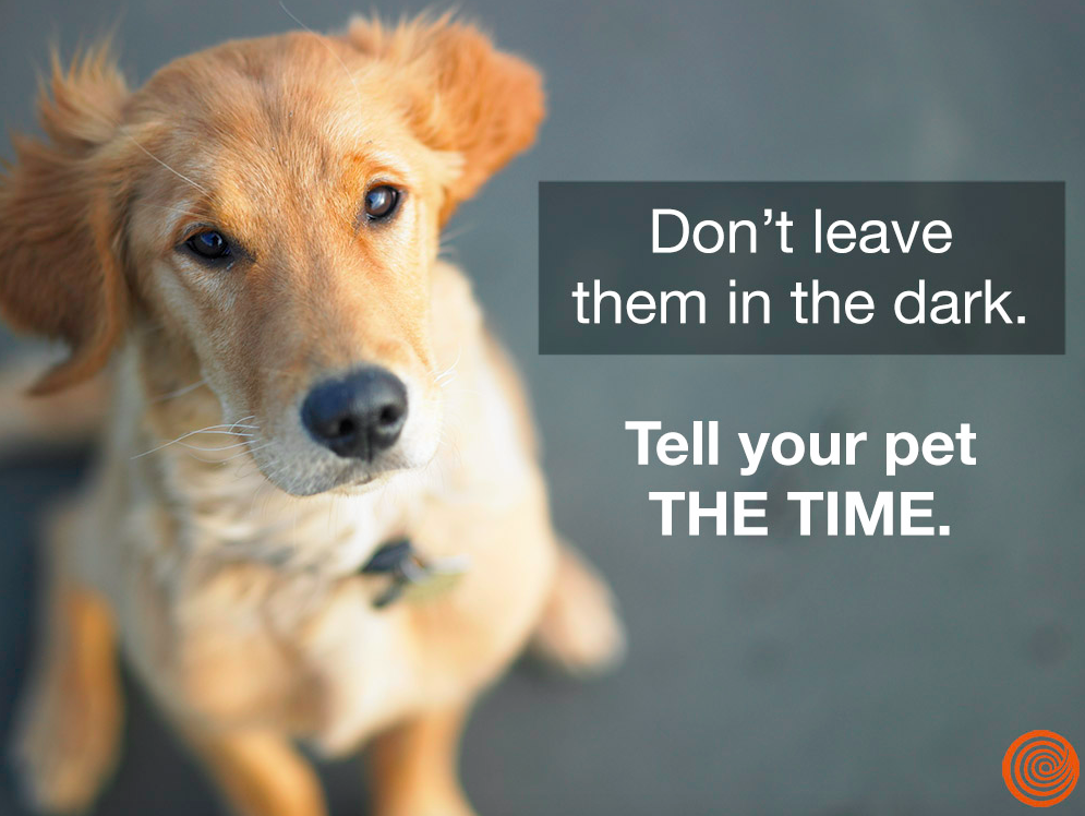 ClickHole's tweet photo. It's the right thing to do. https://t.co/6ZV6lmRBev