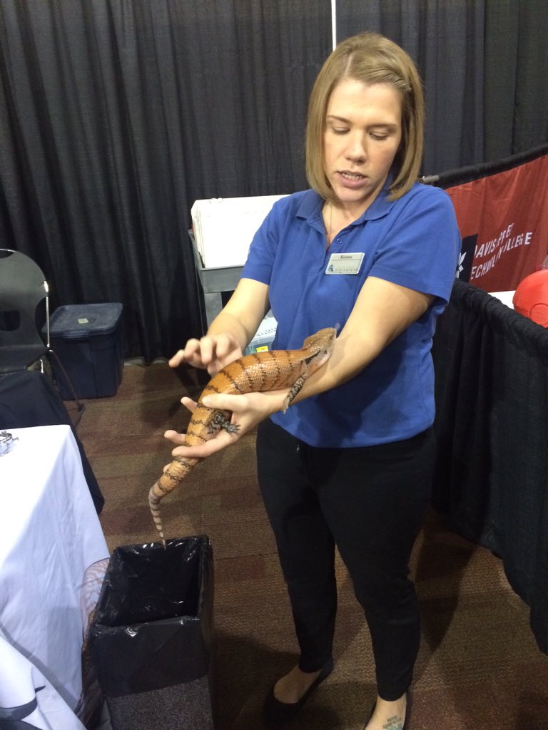 YoungUTed's tweet photo. The @LivingPlanetUT aquarium is at Davis Conf Center tonight for Northern STEM Expo! Bring the family! #STEM4U #uted https://t.co/jgI31NgjDT