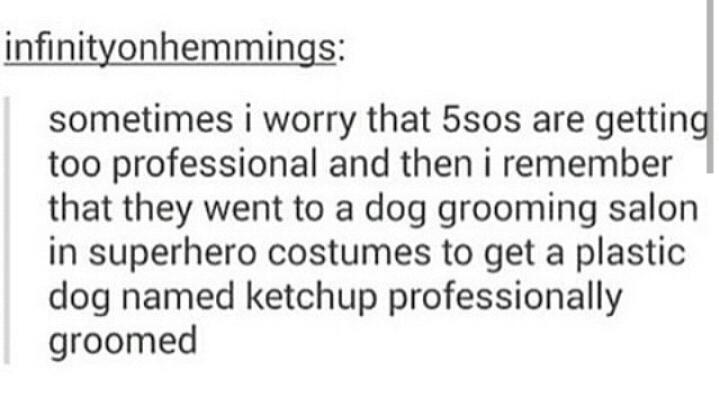 IlluminateSilv's tweet image. I miss the old ketchup #ImProudOf5sosFor #HERESTOROWYSOMEMORIES