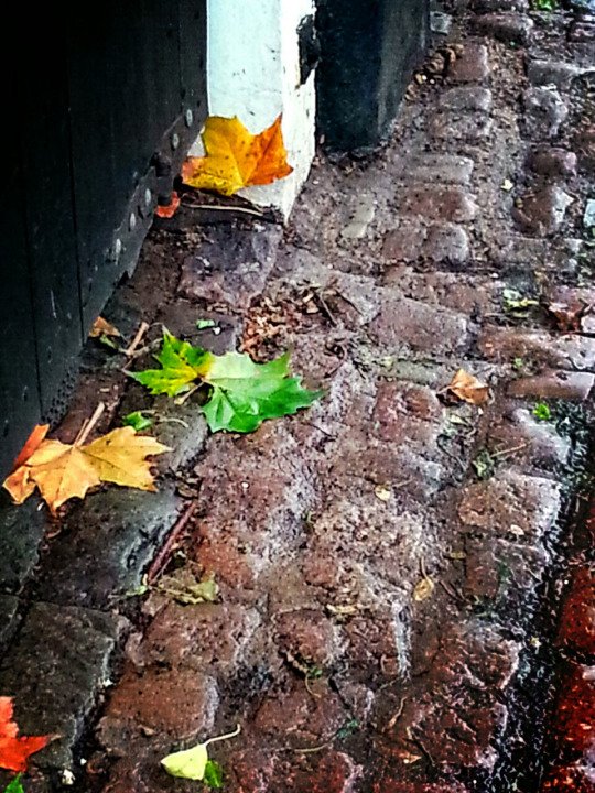 Sleepless Nights tweet media