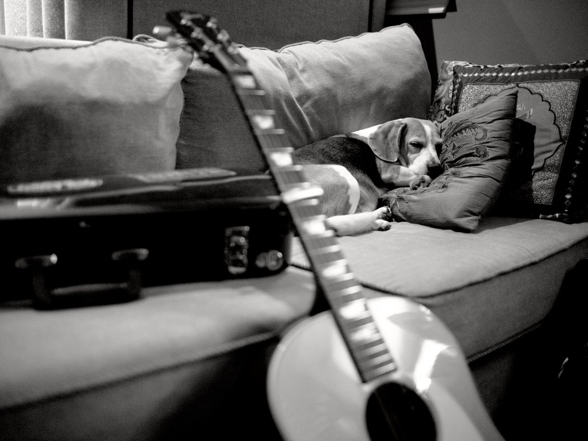 ACountryWord's tweet photo. Best way to end the work day? On the couch listening to #FrontRowSeat by @JoshAbbottBand https://t.co/2QDTTIa3by https://t.co/q5ICvPhlAc