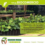 Photo by BiocomercioAmazónico (@BiocomercioAMZ)