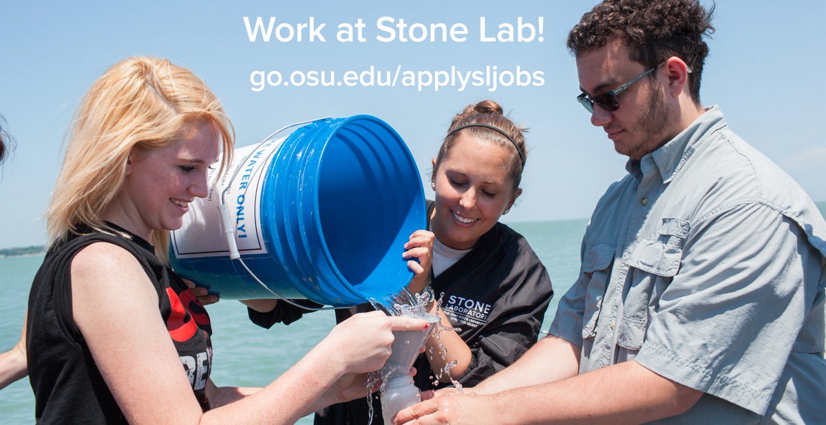 stonelab's tweet photo. Applications for 2016 seasonal positions at #stonelab are open now! Apply at https://t.co/fjhwJmkLdd. https://t.co/MvkFVeK95Y