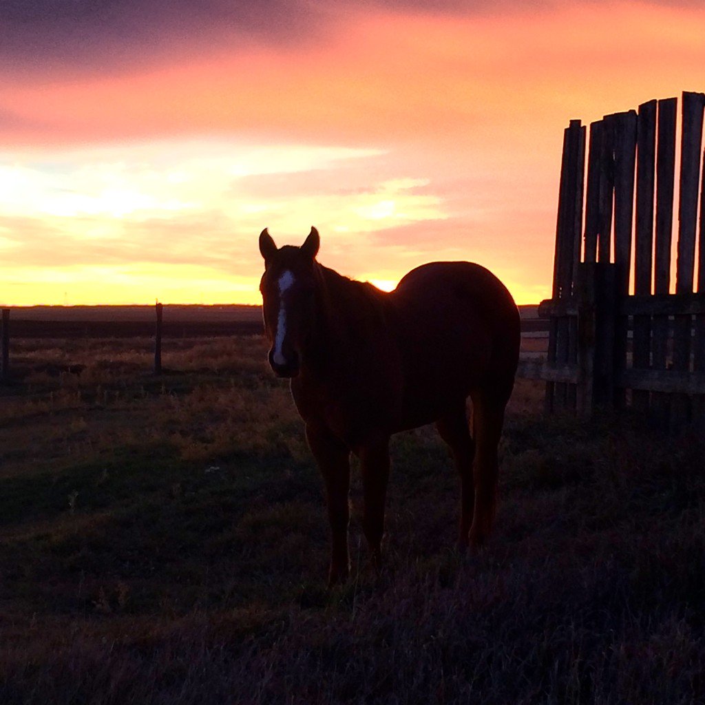CharShapley's tweet photo. #sunrise #loveit https://t.co/M1dbsCnuvo
