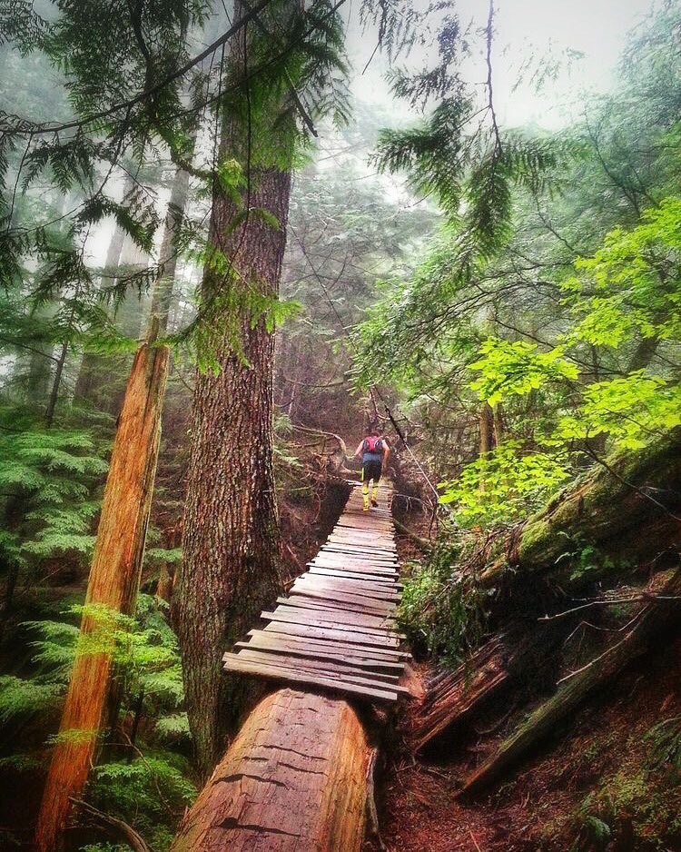¿Por qué obsesionarse cuando tienes un hermoso camino por disfrutar? #RunningXperience #Running #EnjoyTheTrip