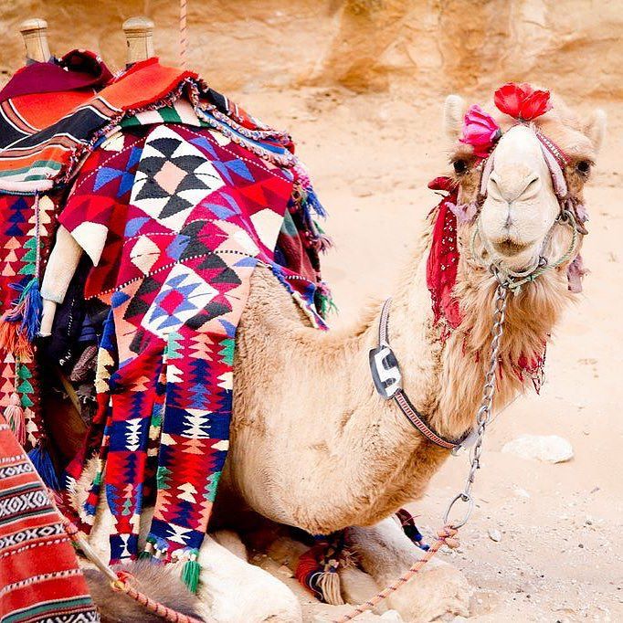 Let's face it, some days you just need to put a flower in your hair &amp; whistle... #engaging… ift.tt/1Sz19YR