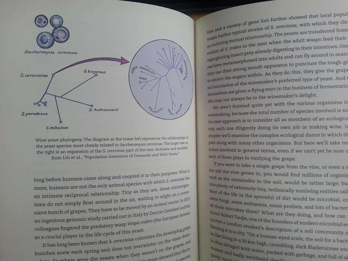 pdf multidisciplinary approaches to cholinesterase