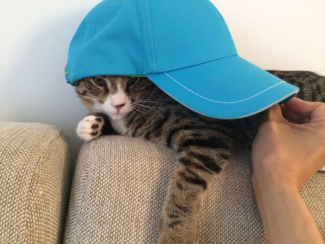 CindeeDang's tweet photo. Here is my funny hat photo. I look really different without makeup. #bronwent #schoolcreative https://t.co/MqA9JsJHP7