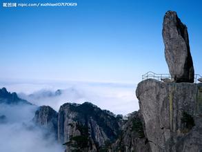 wangwan45312987 tweet picture