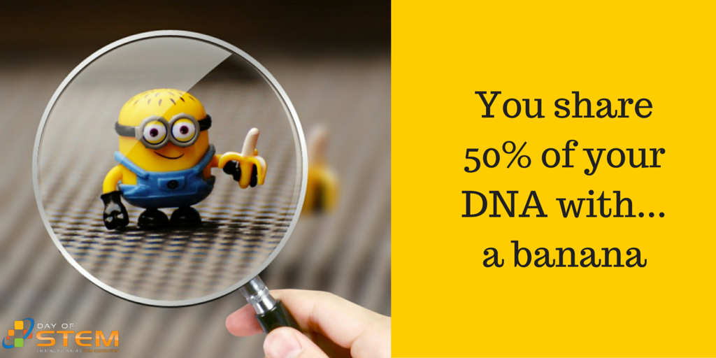 DayofSTEM's tweet photo. We bet you never knew this! Discover the wonders of #STEM by registering at https://t.co/mPnencIB9l #DayofSTEM https://t.co/kvUqoaevvA