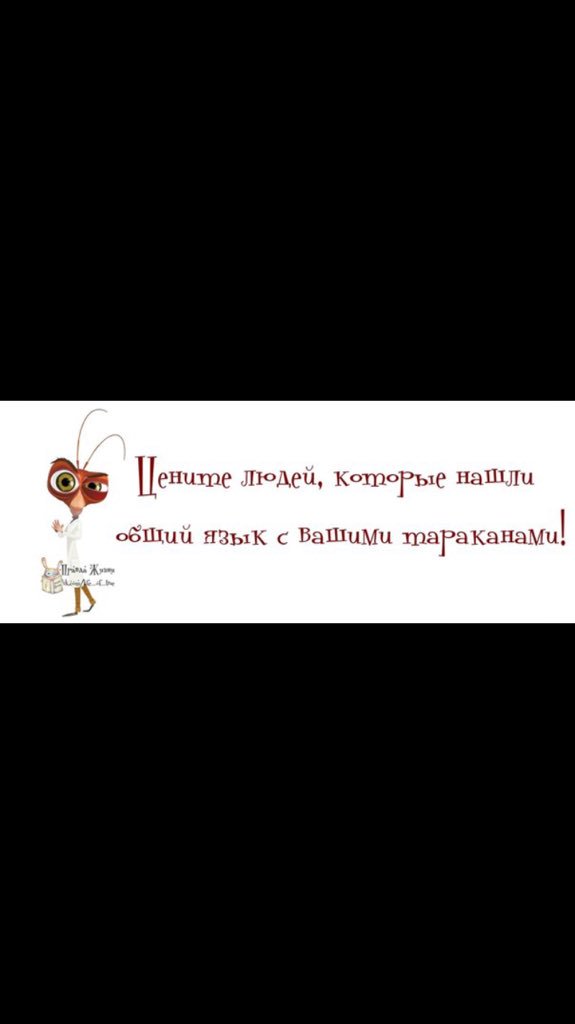 #цитаты