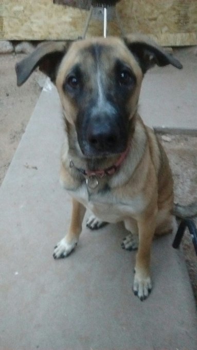 My baby bella♡ https://t.co/qqcGMqtfev<a href="/tag/passionspart2"class="tags"><span>#passionspart2</span></a>