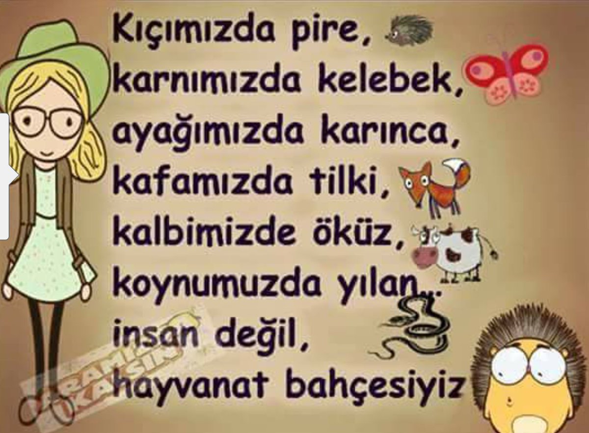 eylemgur's tweet photo. https://t.co/vjggDhVxhb