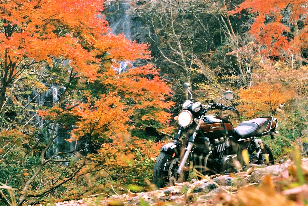 s_jack85's tweet image. 紅葉の似合う機体

モデル：しかちゃんのZRXⅡ