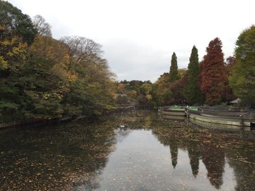 井の頭公園の紅葉の見ごろとアクセス情報 Column Navi