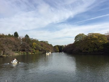 井の頭公園の紅葉の見ごろとアクセス情報 Column Navi