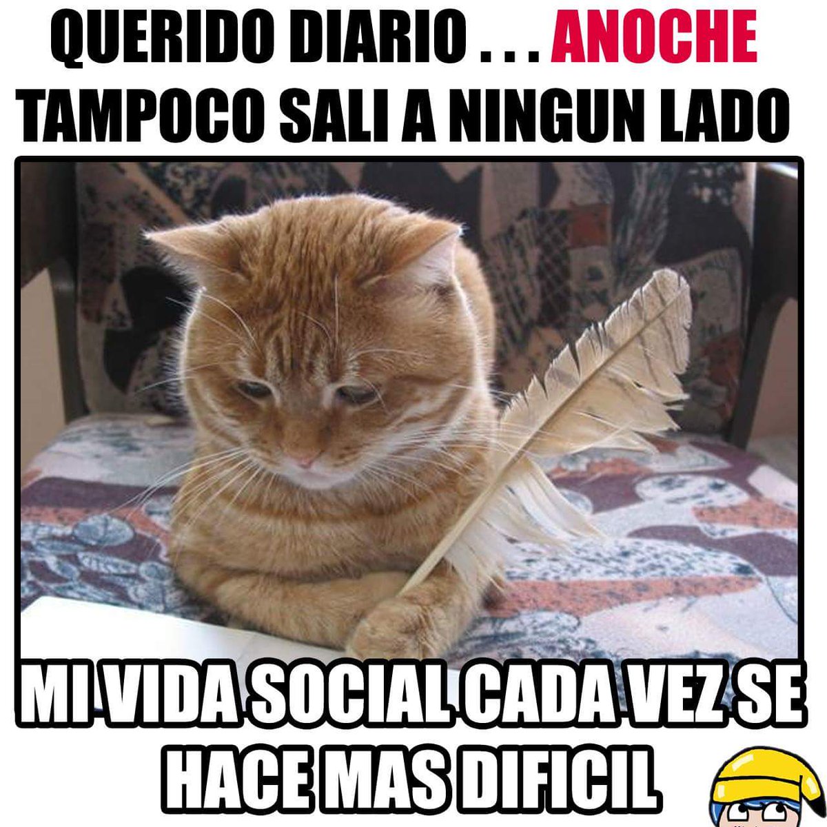 pattyrizzo_'s tweet photo. Triste mi caso 😢😳 https://t.co/xYlEzIoQM0