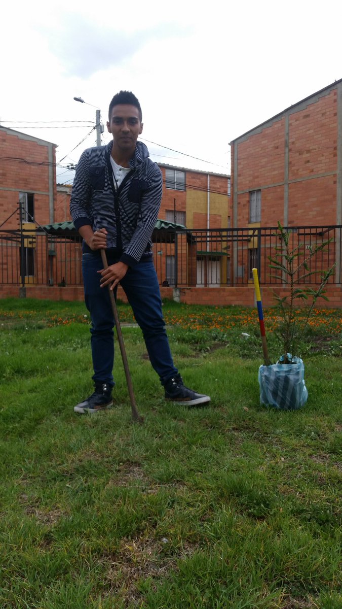 KeveenAndrew's tweet photo. Pino Paraná 
#siembraunarbolvirtual y ayuda con la conservación del ecosistema. #umbvirtual https://t.co/RFz2yN6qaj