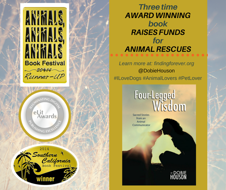 DogTreatNews's tweet image. RT #PowerandMight: j.mp/1zAfMow RT DobieHouson: Dog lovers are falling in love with this heartwarming …