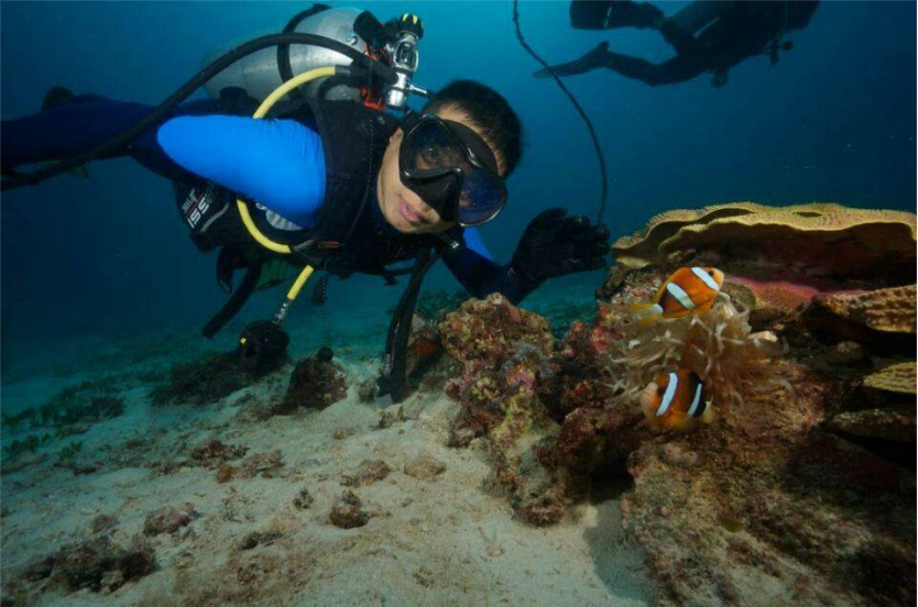 acecaretech's tweet image. Diving.WHO LIKE THIS?