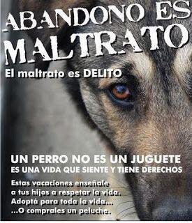 SuperBonitos's tweet photo. Abandono es maltrato.... https://t.co/cD7T679Q18