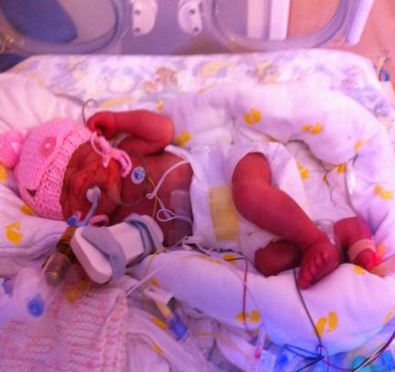 Clare Gibbs tweet media