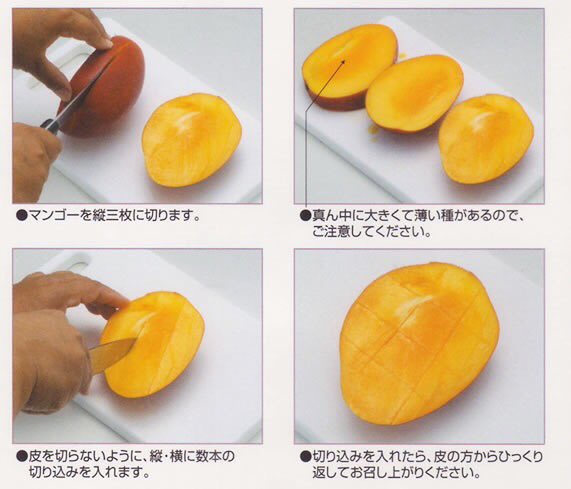bot_mango tweet picture