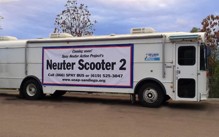 SwiatKrpyto's tweet photo. #snapsd #spay #neuter #neuterscooter #snap #chi #chihuahua #pit #pitbull #cat #dog #kitten #puppy #pet #sandiego https://t.co/oVISP8FNHV