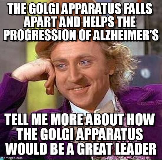 cellpowerhouse1's tweet photo. #true #mhsorganelle2015 #votemitochondria https://t.co/PHMu7u3OS7