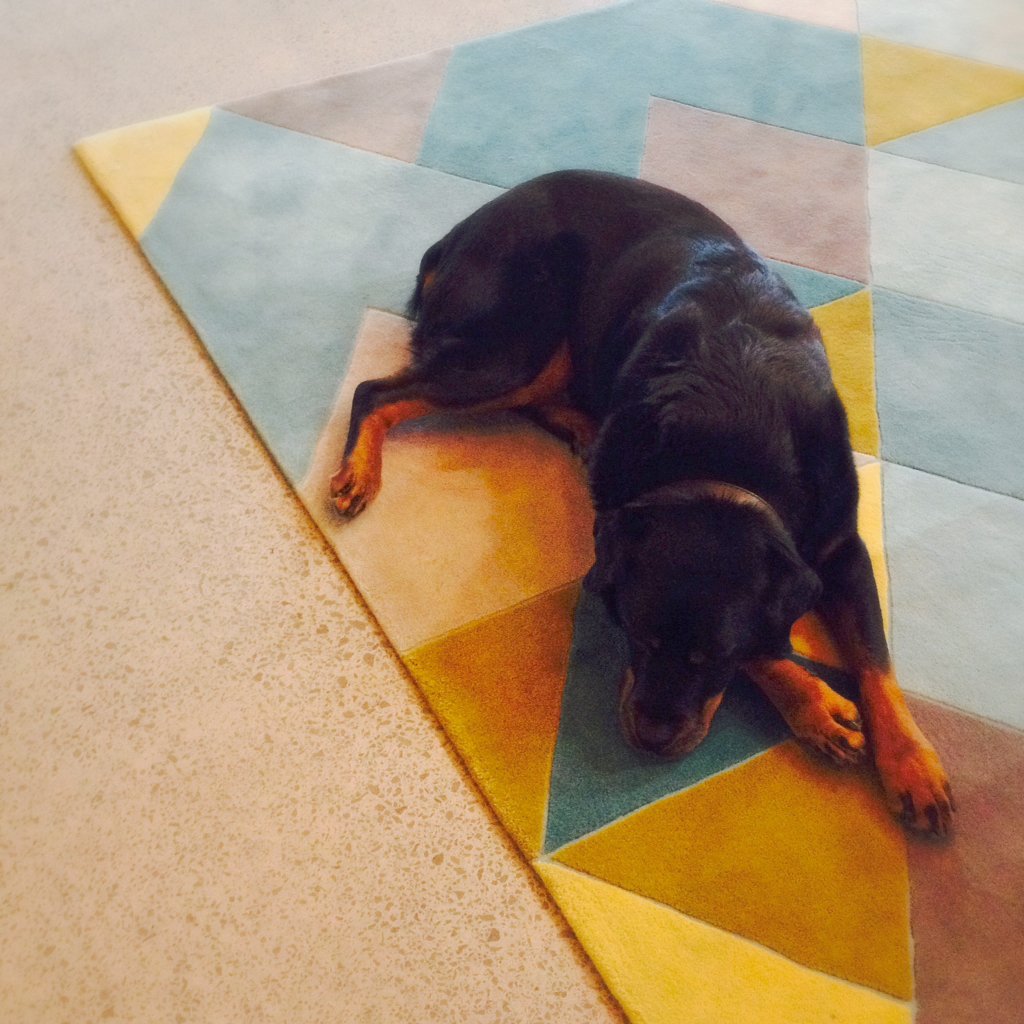 TrueLimited's tweet photo. Hey world. Meet Odie. We love having our canine friends at work! They're part of the #TrueTeam https://t.co/AqFat6vUmR