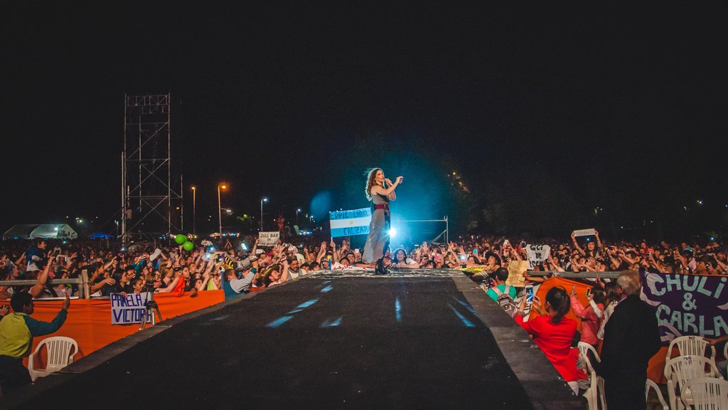 ProbaGualeguay's tweet photo. Extraordinario show de @sole_pastorutti anoche en #Gualeguay en el cierre de la Fiesta del Asado y la Galleta https://t.co/B07duCMmCw