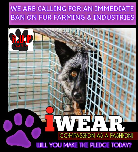RaiseUrPaw's tweet photo. @camilabanus Make A Stand Today #IWearCompassion -is fashion worth sacrificing morality? https://t.co/dLpLH0tVlW … https://t.co/50PB3HtUcl