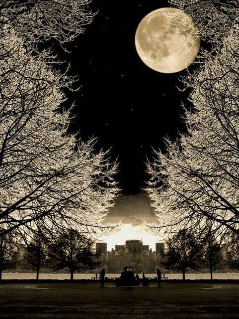 Moonalice's tweet photo. Goodnight Moon! https://t.co/614SWX5Wun
