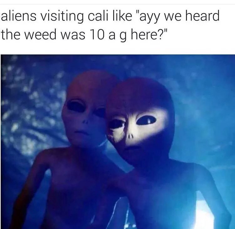 SpeedwagonDon's tweet image. That UFO tho