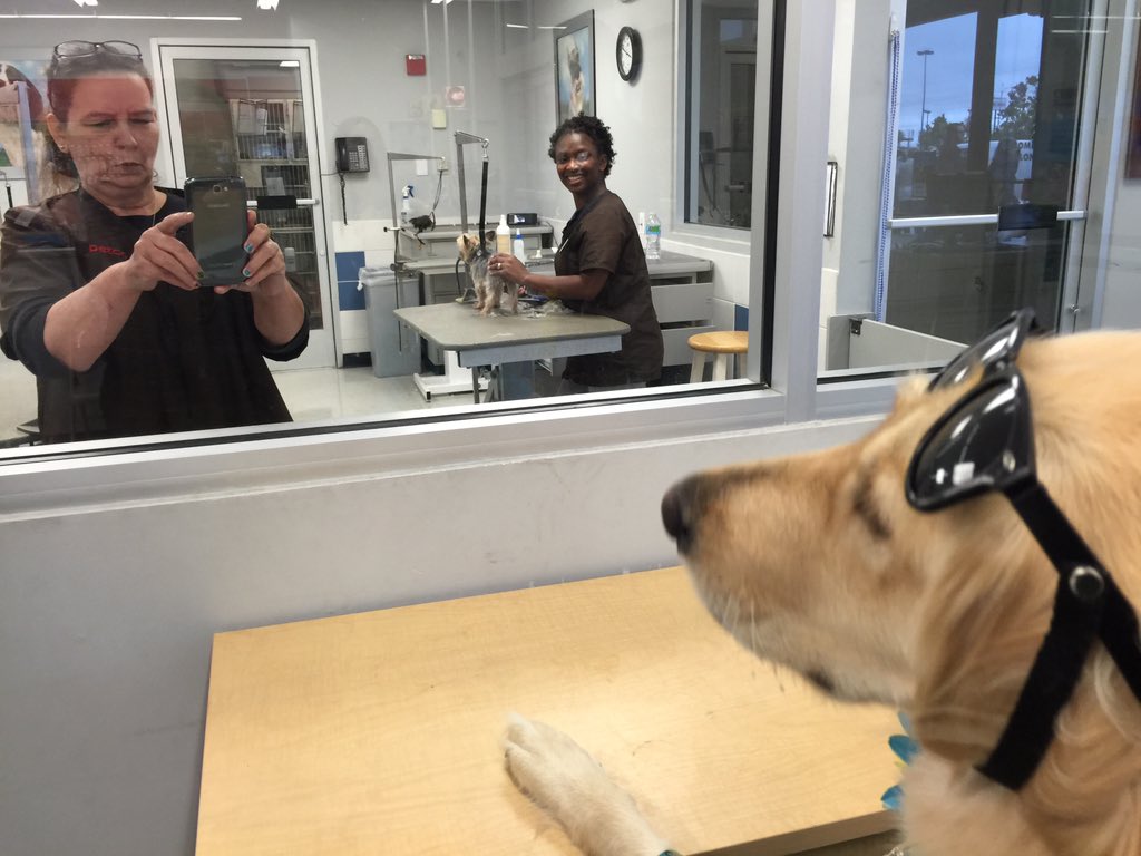LucyPetFoods's tweet photo. Met another super cool #AL @Petco team in #Motgomery who loved hanging with @SurfinJackDog https://t.co/thOpXssWOR