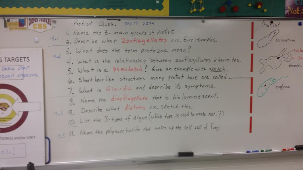 JMartinBio's tweet photo. Protist board questions for entertaining your Monday night enjoyment. https://t.co/ar7Edc1HMC