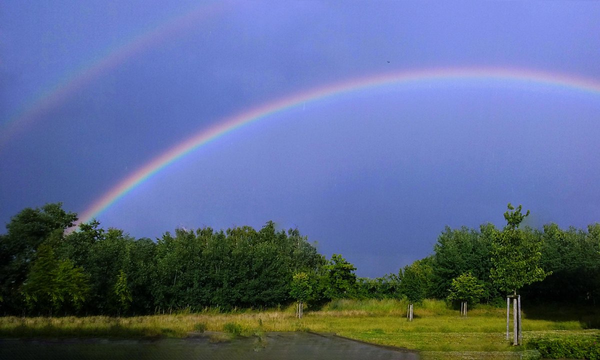 DaInPrag's tweet image. :-)