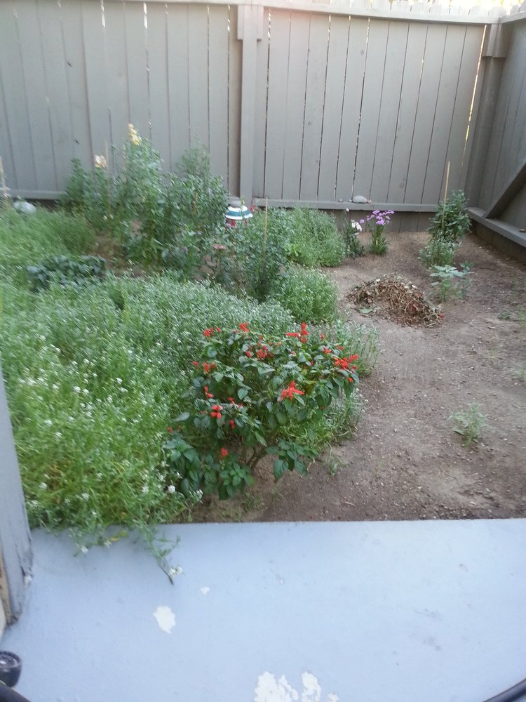 marshall_lenard's tweet photo. Any where outside is a good idea. #SahaleSnackers #sponsored https://t.co/mm1YFp8CLC