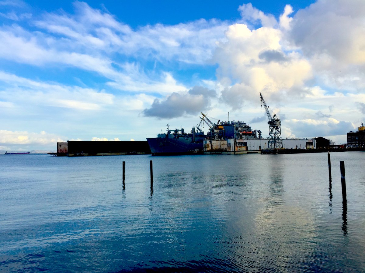 Dina Ciraulo tweet media