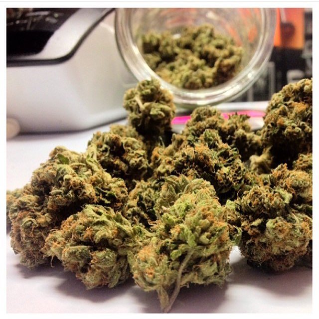 GuamHemp's tweet photo. Can you feel the #HEMP20 Love! #mondaymotivation https://t.co/xoCSe4pxDg