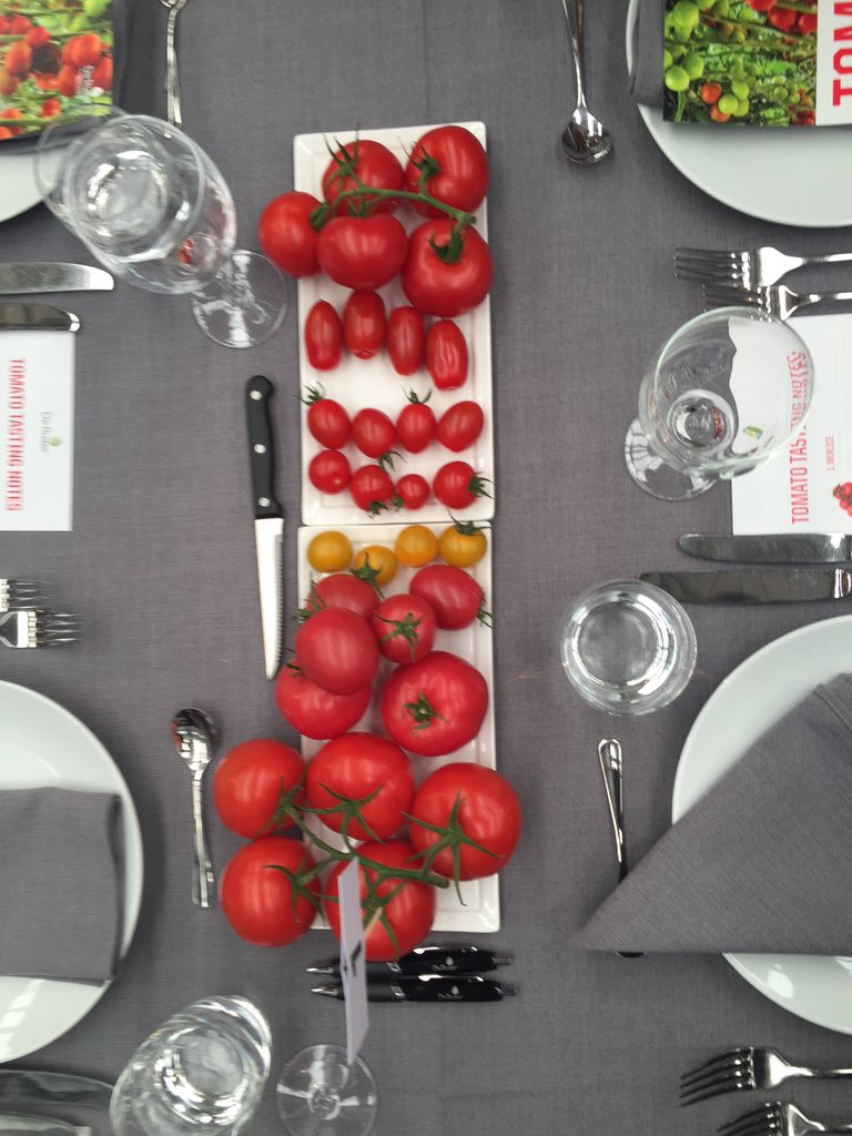 Ready, set, taste! #welovetomatoes