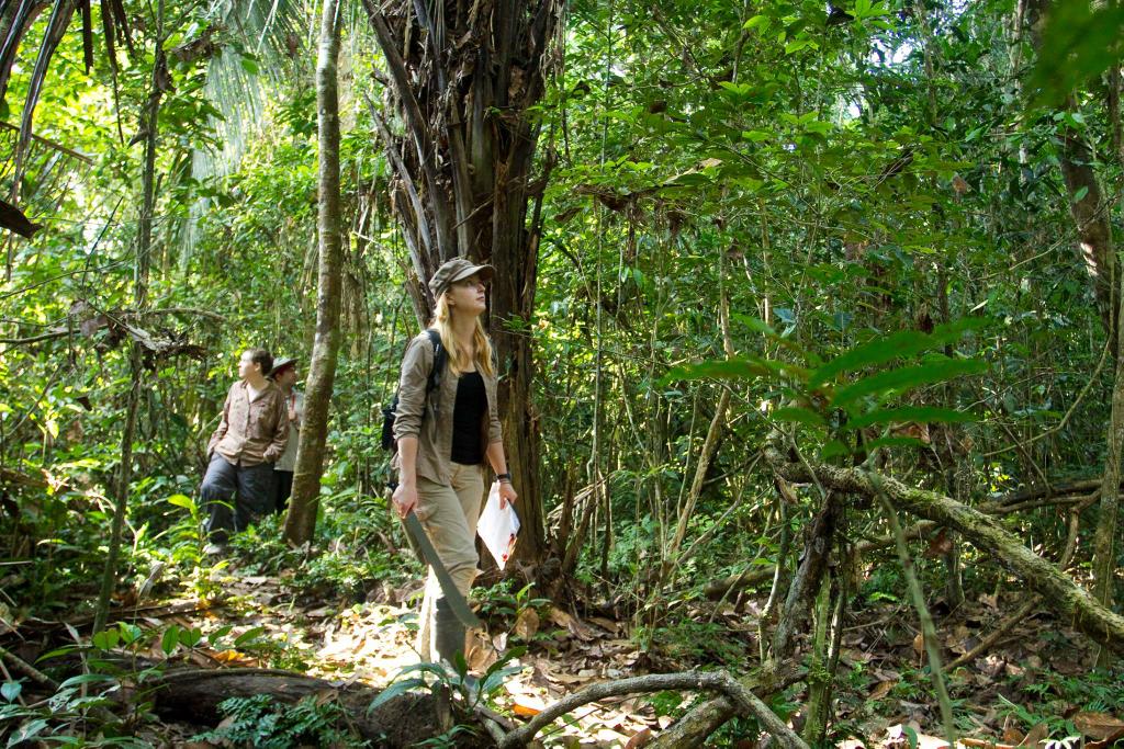 hollyodonnell00's tweet photo. Please retweet to help me share my #animalconservation work with more followers! #peru #lifeintheamazon #junglelife https://t.co/9EyLQ7gisM