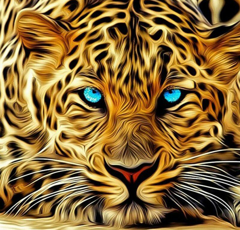 MBernais's tweet photo. https://t.co/V1ehKy3kuu