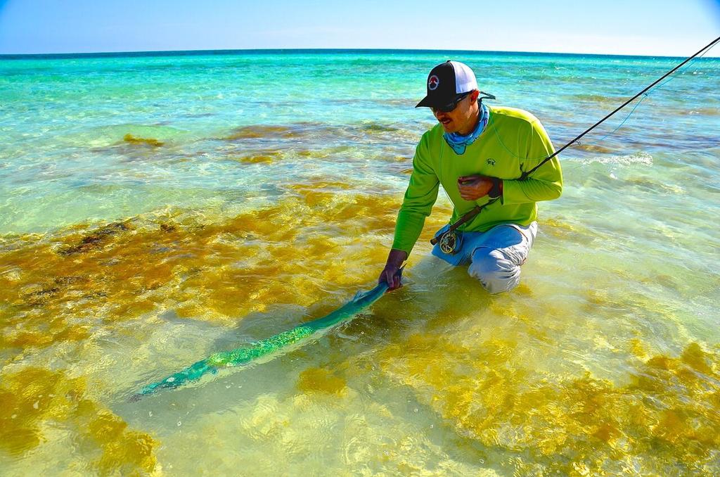 EastEndLodge's tweet photo. If I could do this every Monday, I would love Mondays! #flyfishing #flyfishingislife #shallowwater #catchandrelease https://t.co/cZ6NyrXXgB