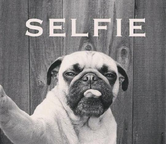 diddy1205's tweet photo. But first #letmetake a #selfie ;) https://t.co/X2535SbUJ0