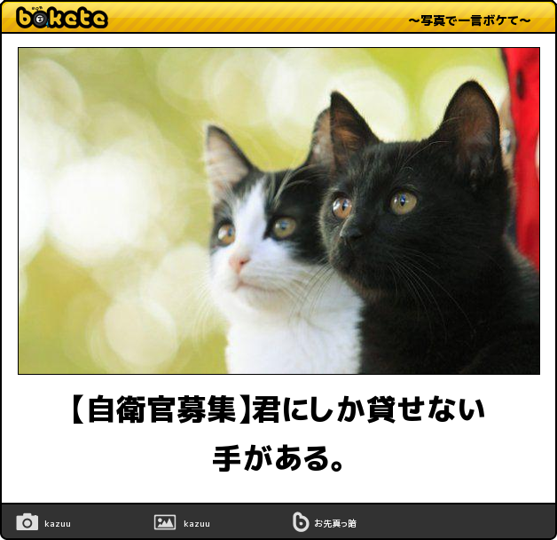 bokete × 【非売品】日めくり兵団