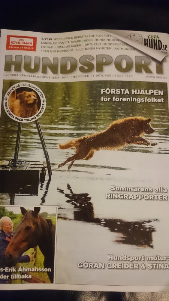 Pawfix tweet picture